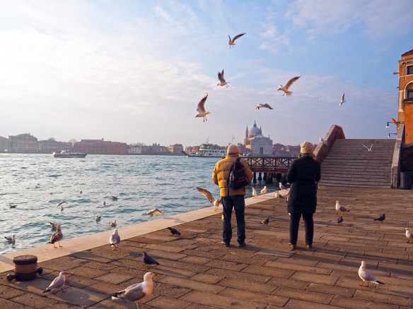 turisti in armonia con venezia, la natura ed i gabbiani