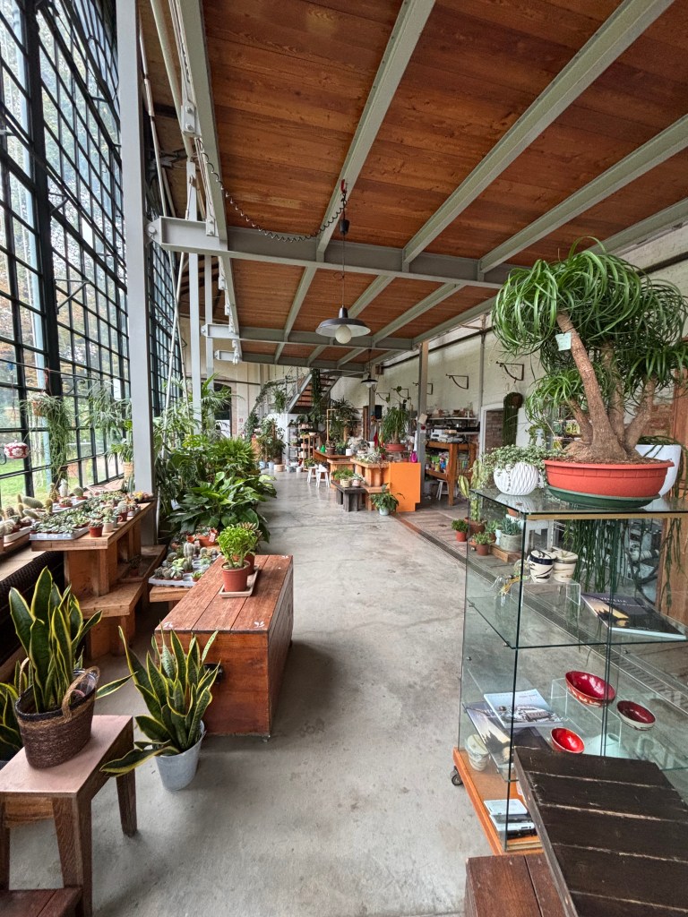 il retro del caffè della serra dei giardini e le piante in vendita